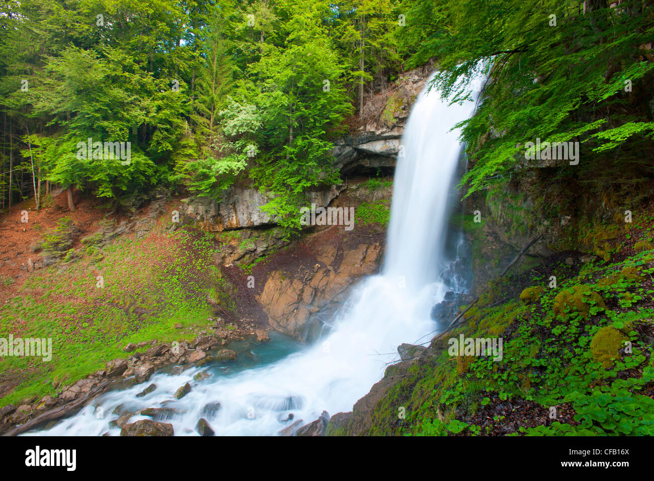 Giessbach, Schweiz, Kanton Bern, Berner Oberland, Holz, Wald, Bach, Wasserfall, Natur Stockfoto