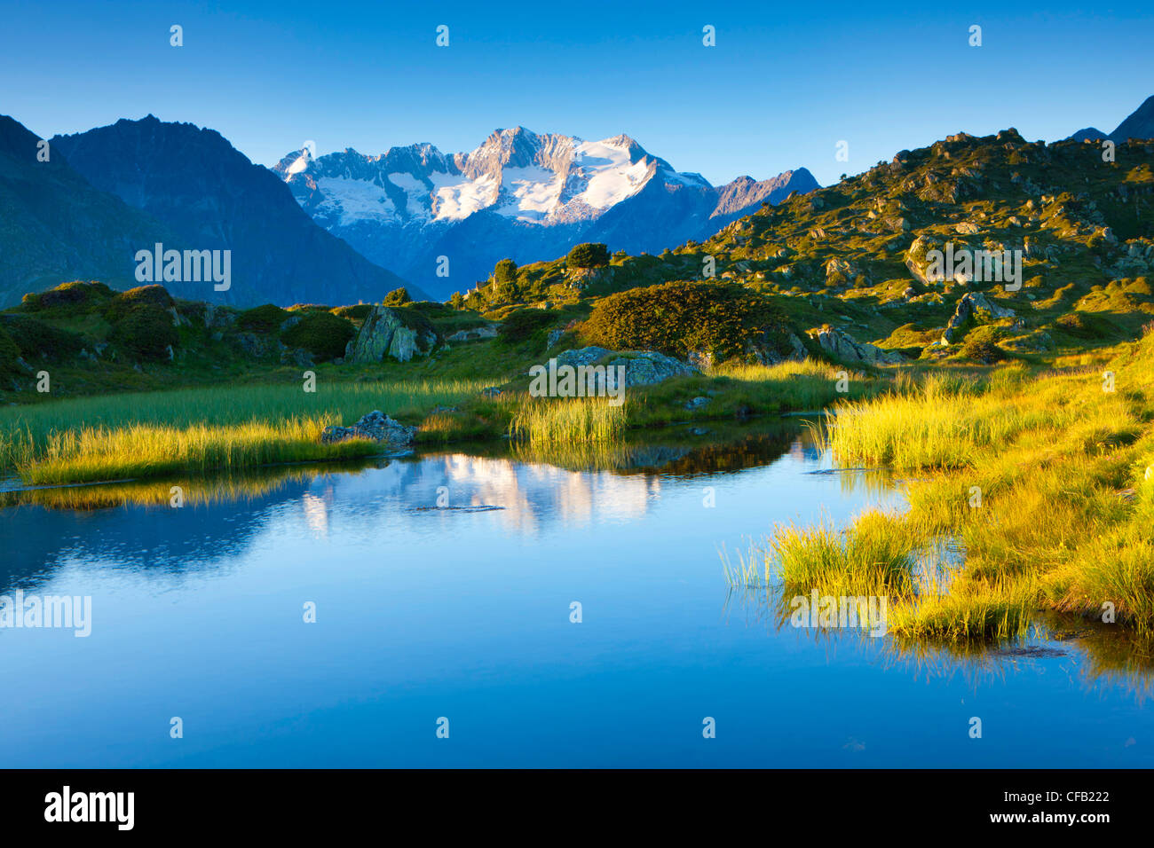 Moosfluh, Schweiz, Wallis, Aletsch-Bereich, Pool, Pfütze, abends Licht, Berge, Natur Stockfoto