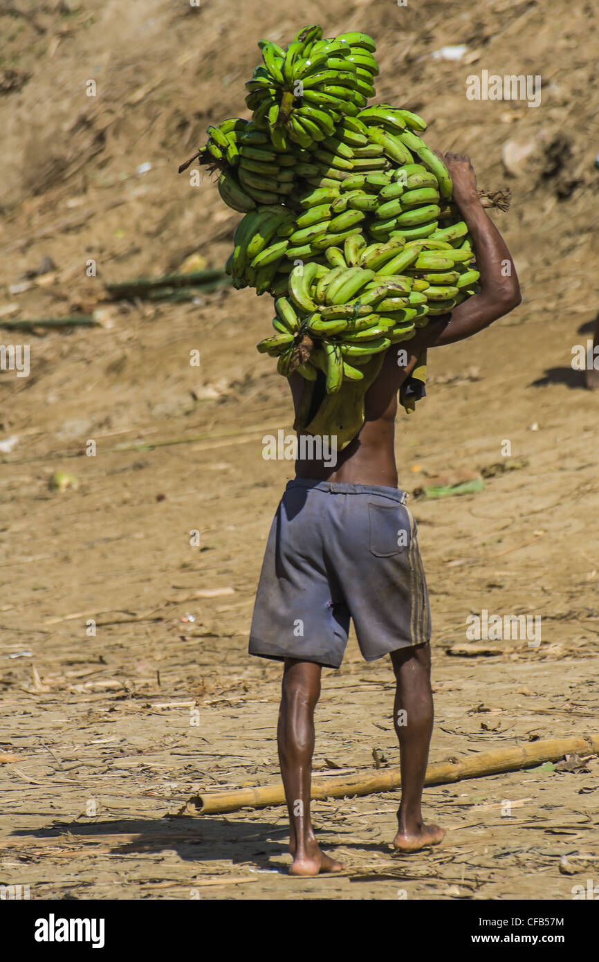Träger von Bananen in Foulpointe, östlich von Madagaskar Stockfoto