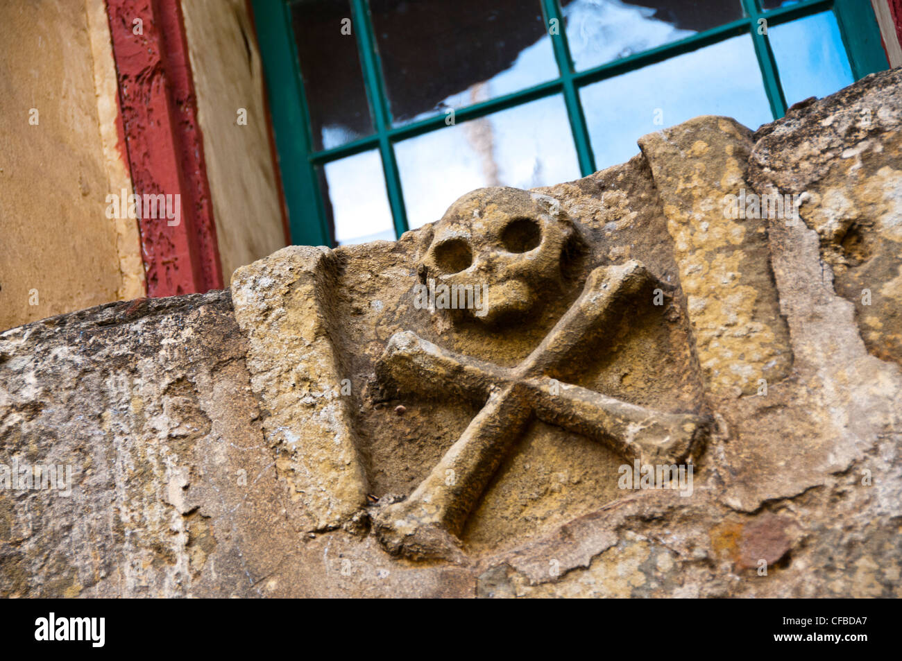 Totenkopf Schädel Stockfoto