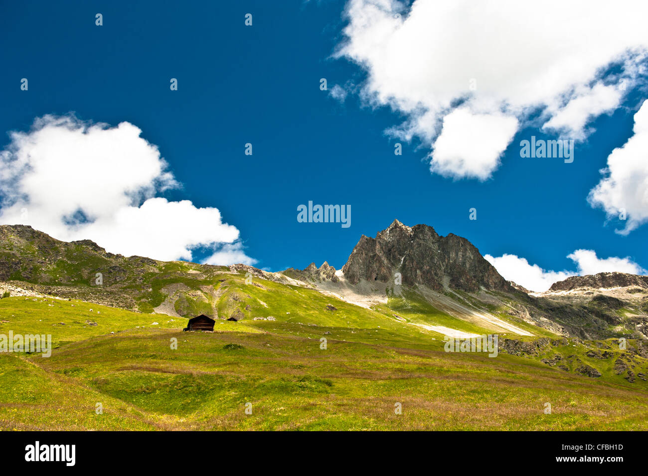 Alpen, Gipfel, Berggipfel, Bergwelt, Berglandschaft, Berglandschaft, Wiese, Weide, Engadin, Oberengadin Stockfoto