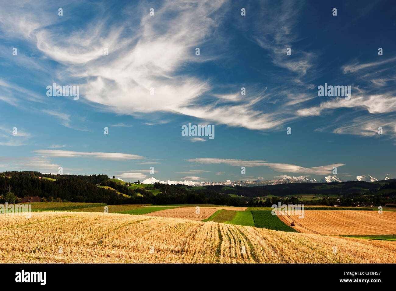 Alpen, Bergkette, Himmelblau, blau, Azure, Cirrus, Emmental, Felder, Föhn, Föhn, Chinook-Wind, Himmel, Horizont, Skyline, Kanton Stockfoto