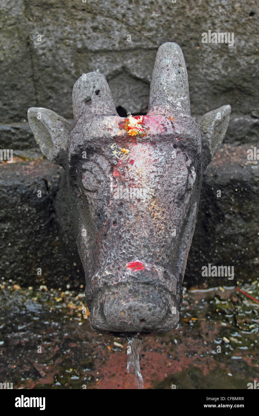 Gomukh (eine Kuh Mund aus Stein) am Shri Koteshwar Tempel liegt zwischen Dorf Glied und Gove im nahen Fluss Krishna, Stockfoto