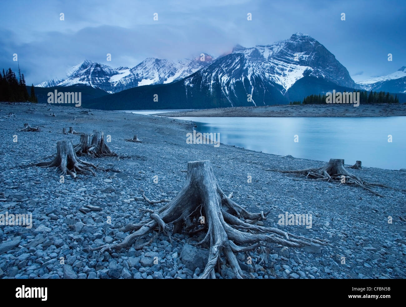 Stümpfe Umweltauswirkungen Wasserkraftwerk Stockfoto