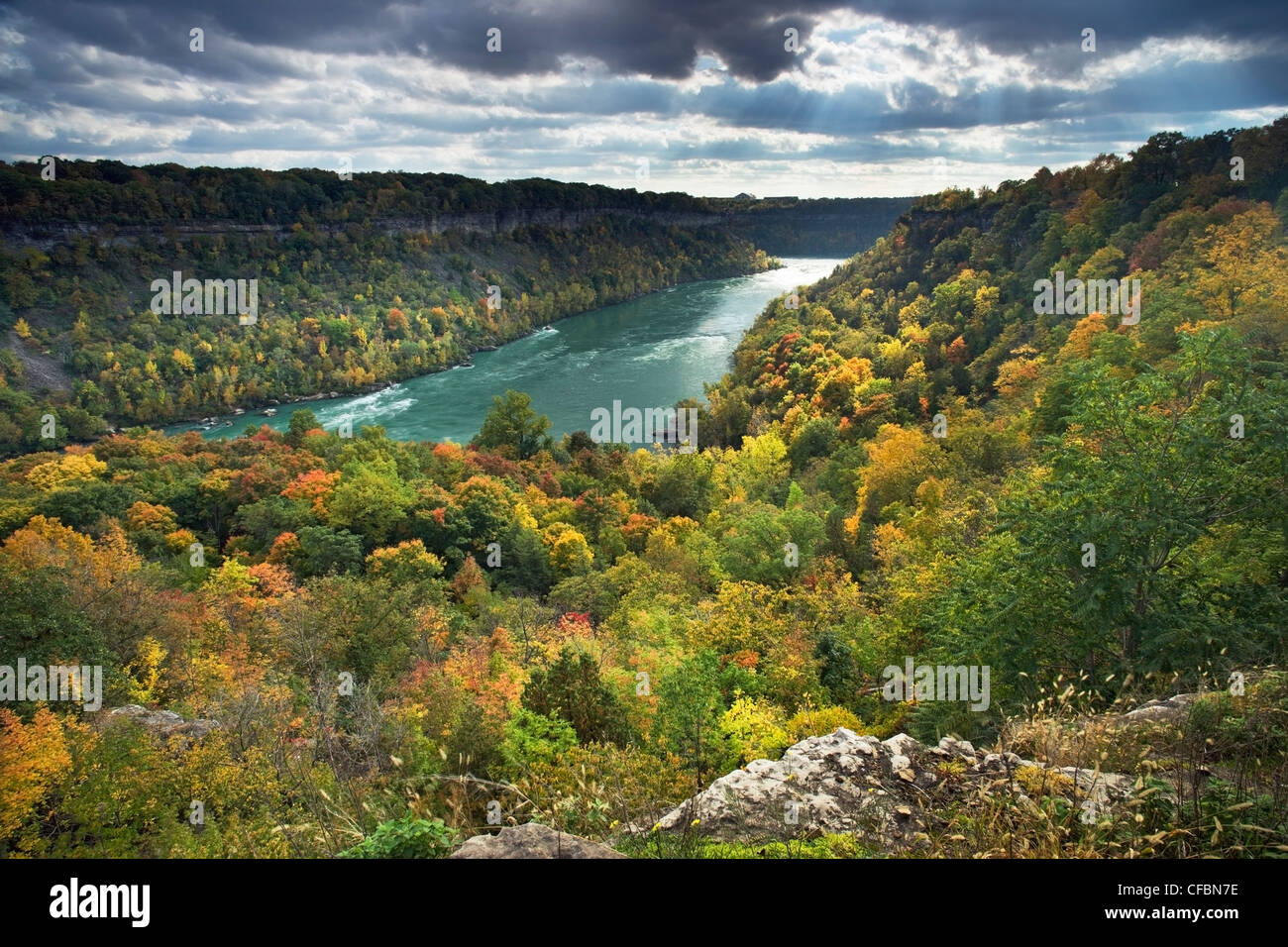 Niagara Glen Nature Reserve und den Niagara River, Niagara Falls, Ontario, Kanada Stockfoto