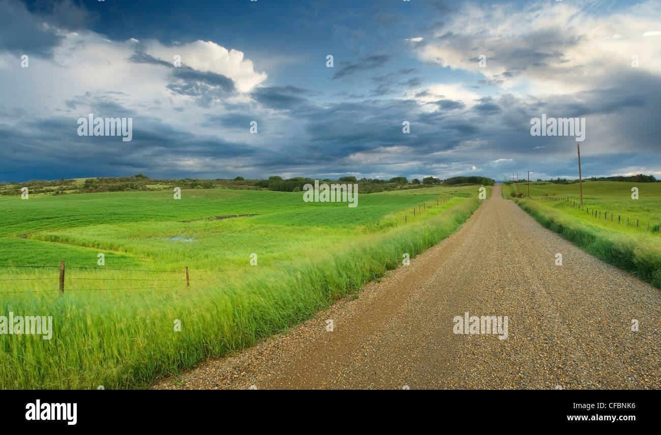 Landstraße, Feld und Zaun mit Gewitterwolken in der Nähe von Cochrane, Alberta, Kanada Stockfoto