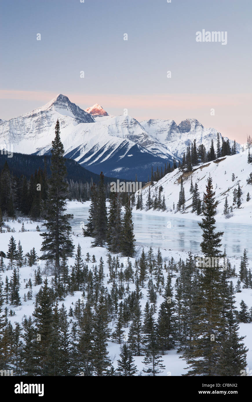 Mount Erasmus, Umfrage Peak und North Saskatchewan River, Banff Nationalpark, Alberta, Kanada Stockfoto