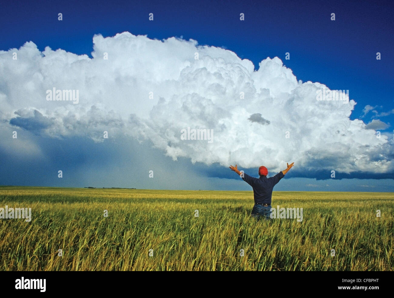 Ein Bauer blickt auf ein Gerstenfeld mit einer Cumulonimbus Wolke Masse im Hintergrund bei Bromhead, Saskatchewan, Kanada Stockfoto