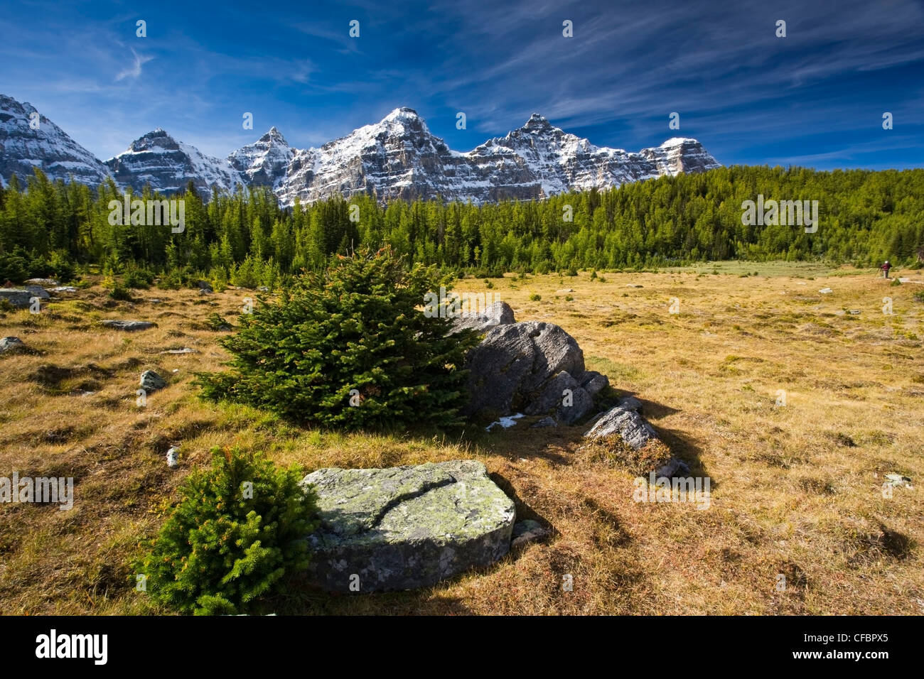 Tal der zehn Gipfel, Lärche-Tal, Banff Nationalpark, Alberta, Kanada Stockfoto