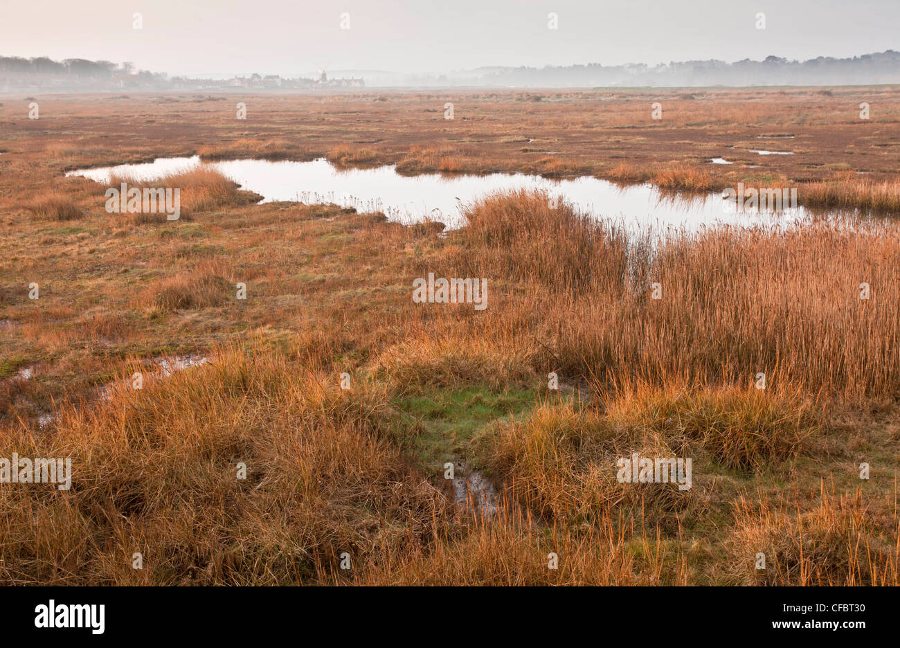 Weiden, Schilf und Pools in Cley Marshes, Norfolk Wildlife Trust Naturschutzgebiet, North Norfolk Küste. Stockfoto