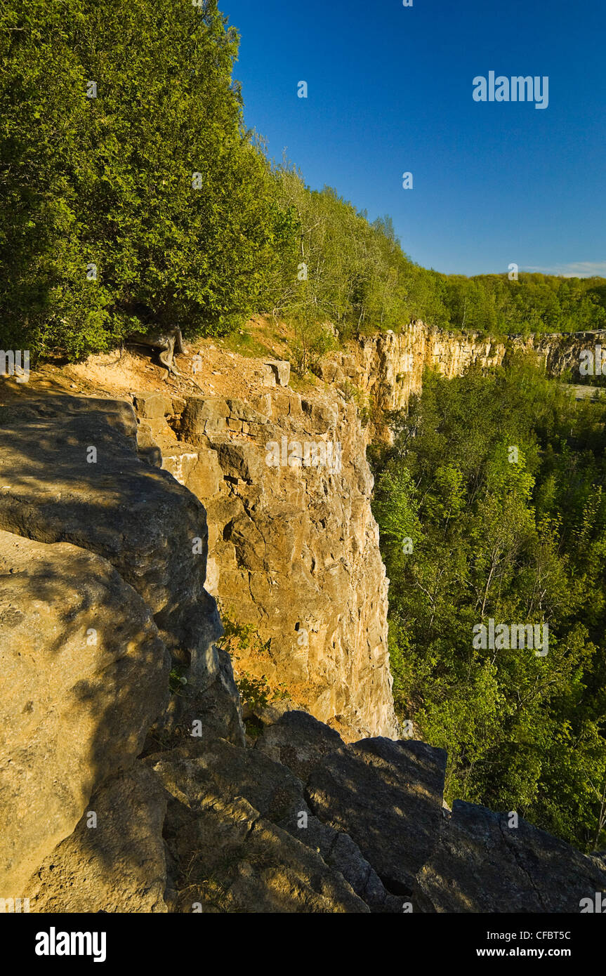 Niagara Escarpment Kalksteinfelsen Kelso/Glen Eden Conservation Area in Halton Region in der Nähe von Milton, Ontario, Kanada. Stockfoto