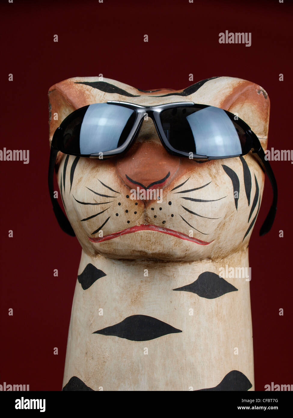 Cool für Katzen Stockfoto