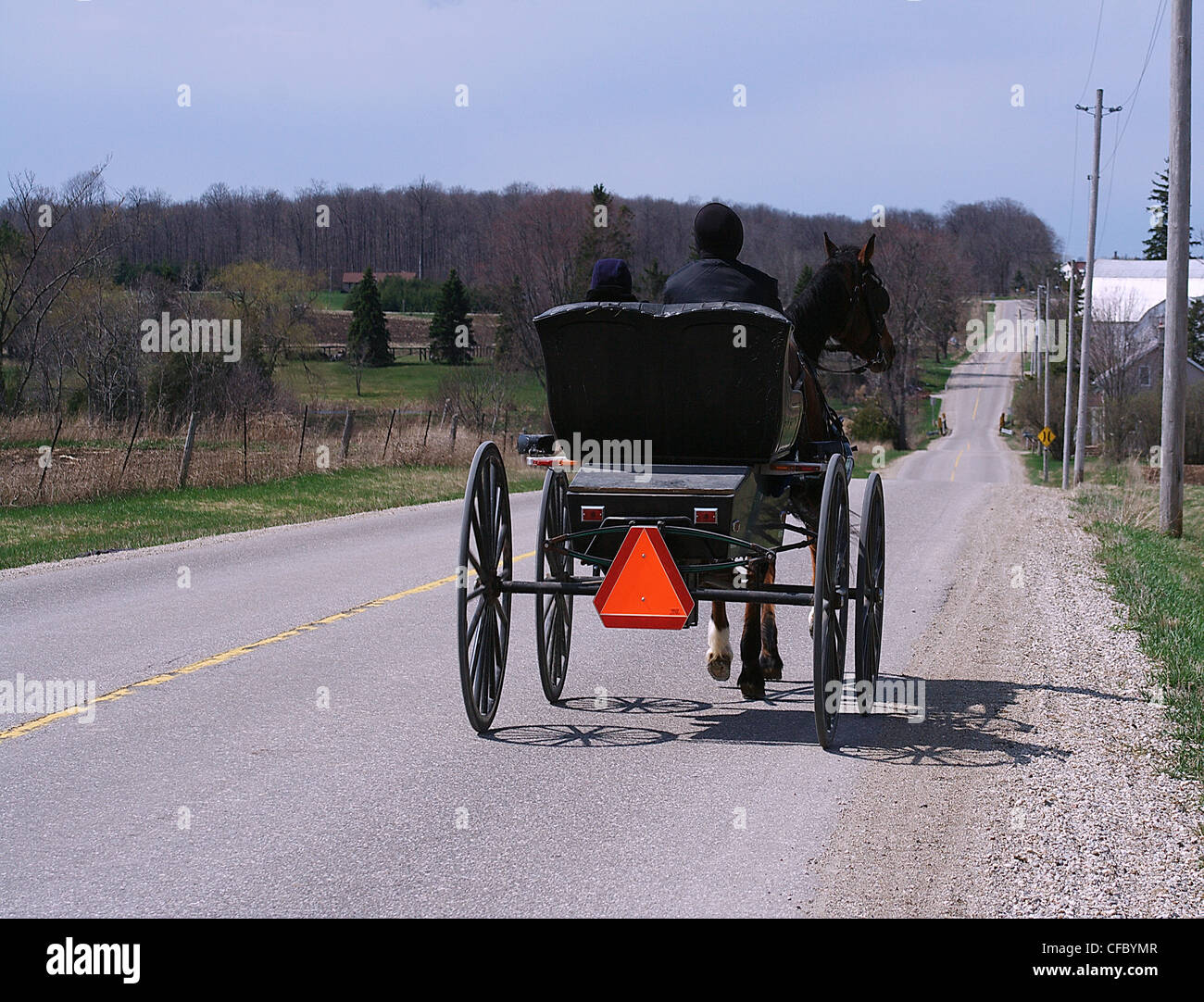 Mann im Pferdegespann, Elmira, Ontario, Kanada Stockfoto