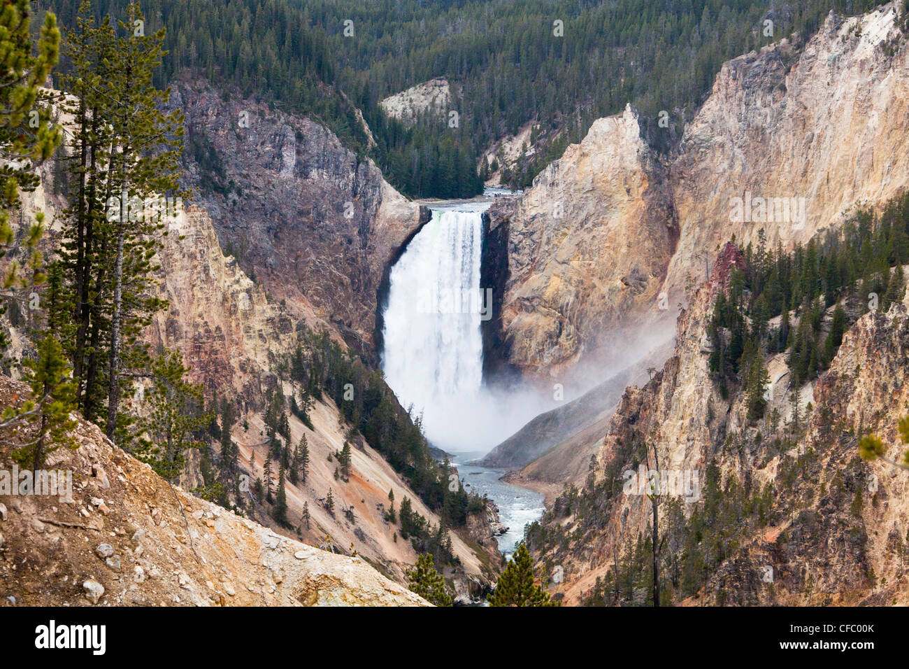 USA, USA, Amerika, Wyoming, Yellowstone, National Park, niedrigere Yellowstone Wasserfälle, Artis Punkt, Wasser, Tiefe, berühmt Stockfoto