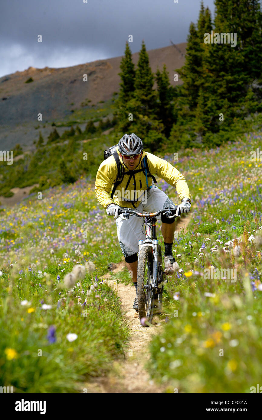 Chilco Mountain Bike Lick Creek, British Columbia, Kanada Stockfoto