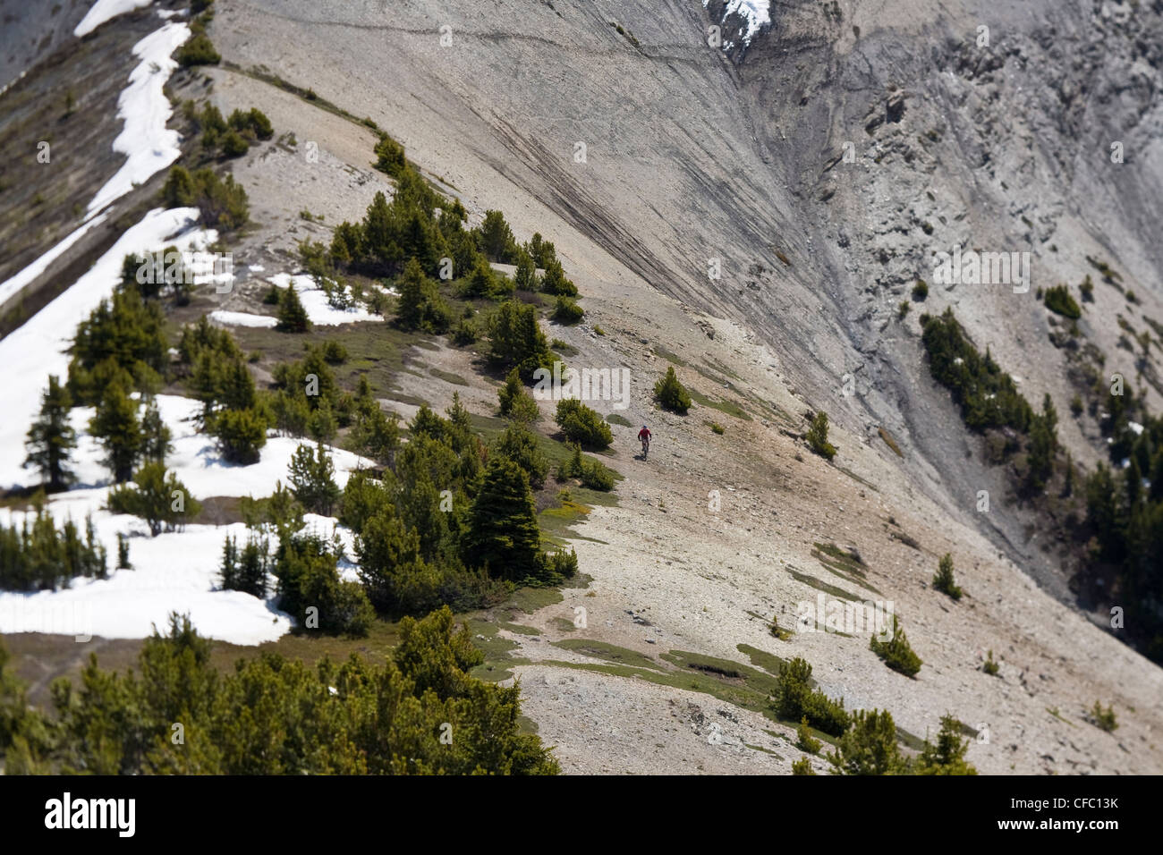 Ein Mountainbiker auf sieben Mt, Golden, BC Stockfoto