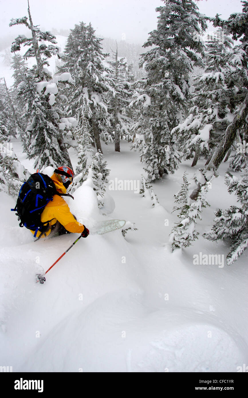 Skifahrer, Whistler, BC, Kanada Stockfoto