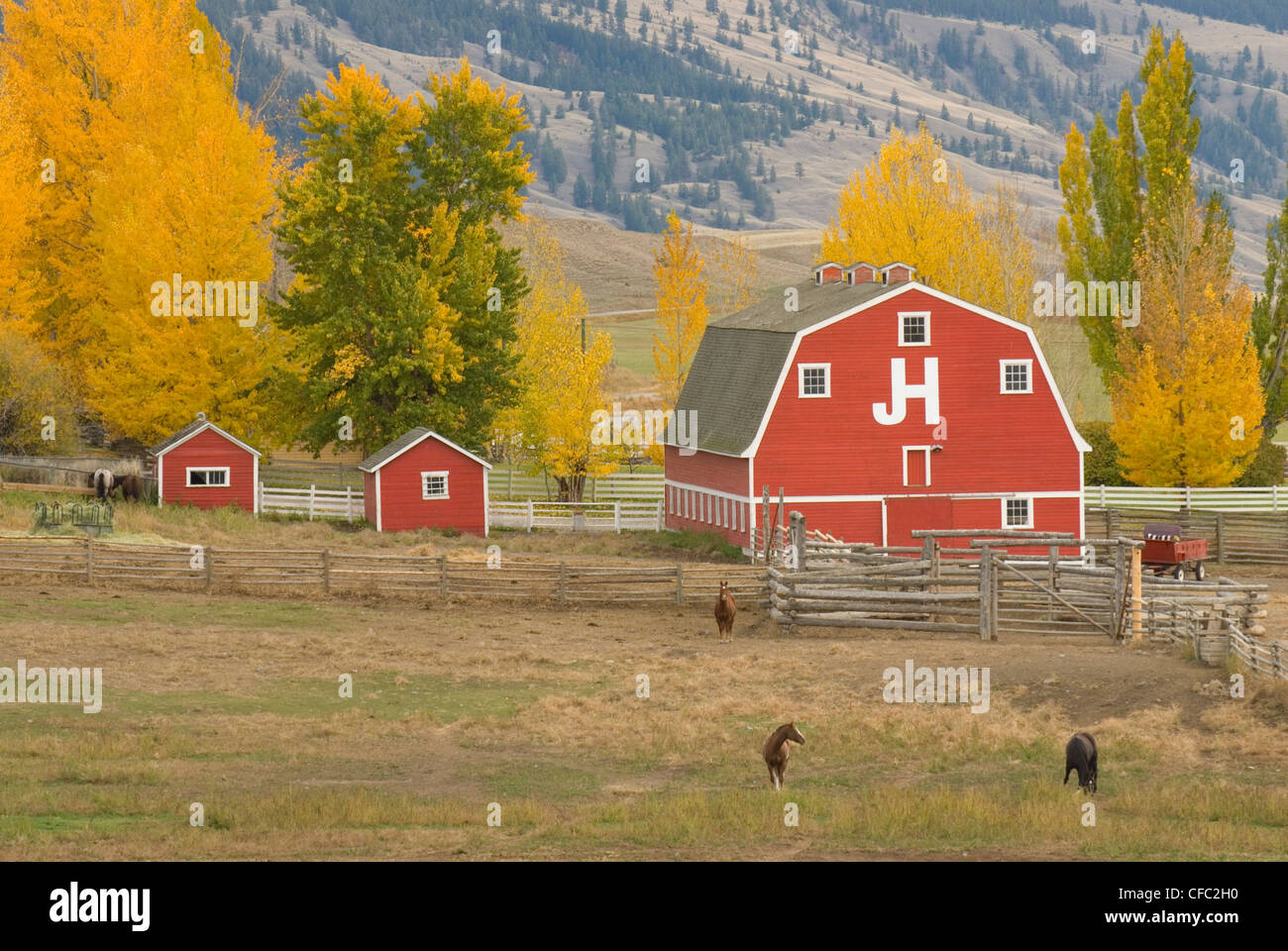 Roten Scheunen in Gang Ranch, Chilcotin Region, Bristish Columbia, Kanada Stockfoto