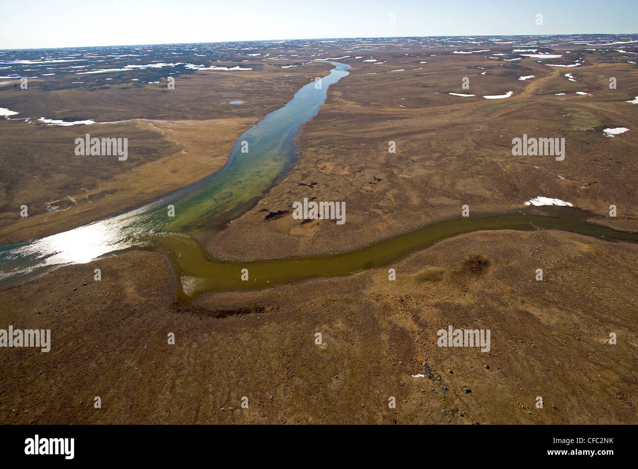 North Fork of the Hood River zeigen Caribou crossing, Nunavut Stockfoto