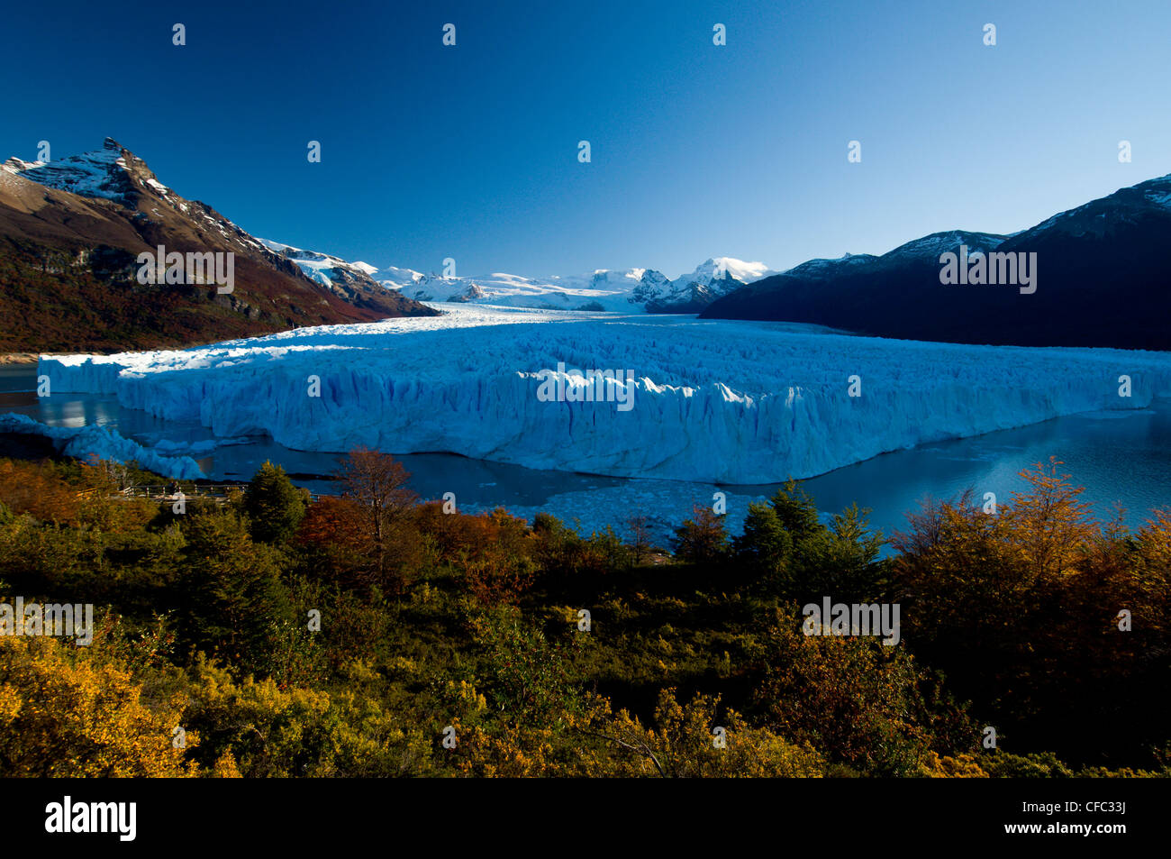 Der Perito-Moreno-Gletscher im Herbst, Kälber in den Gewässern des Lago Argentina, Parque Nacional Los Tundrazone, Argentinien Stockfoto