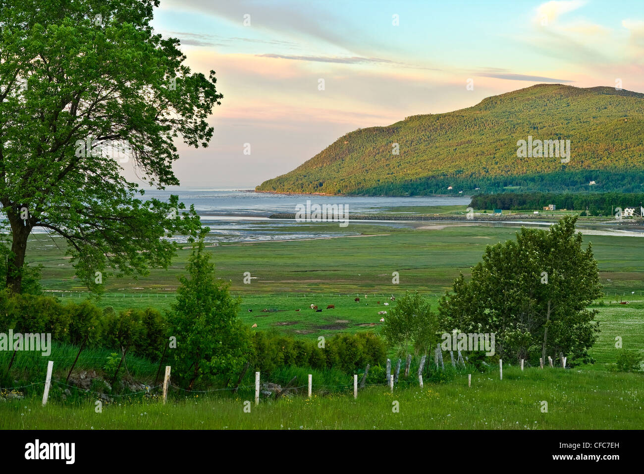 Mittleren Mündung Zone des Gouffre River nahe der Stadt von Baie-Saint-Paul. Charlevoix, Quebec, Kanada Stockfoto