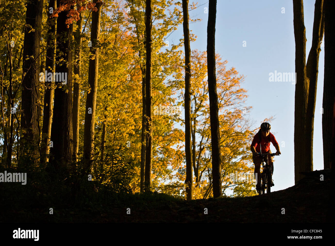 Ein junger Mann genießen Thre fällt, Farben und Mountainbike-Touren rund um Kelso, ON, Canada Stockfoto