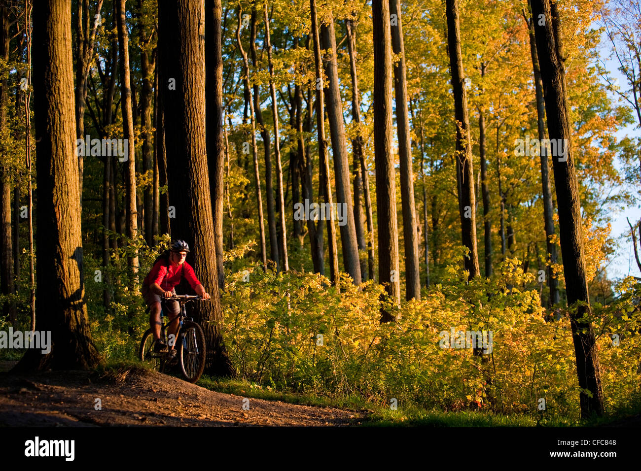 Ein junger Mann genießen Thre fällt, Farben und Mountainbike-Touren rund um Kelso, ON, Canada Stockfoto