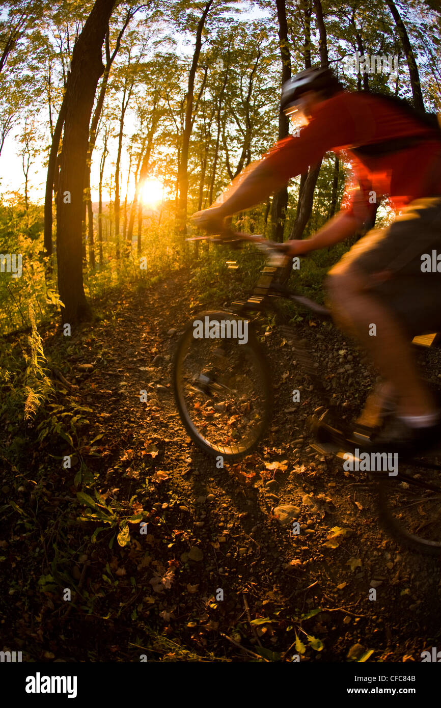 Ein junger Mann genießen Thre fällt, Farben und Mountainbike-Touren rund um Kelso, ON, Canada Stockfoto