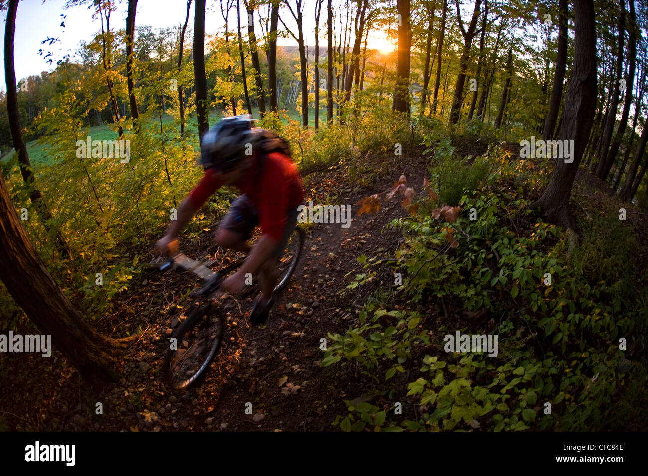 Ein junger Mann genießen Thre fällt, Farben und Mountainbike-Touren rund um Kelso, ON, Canada Stockfoto