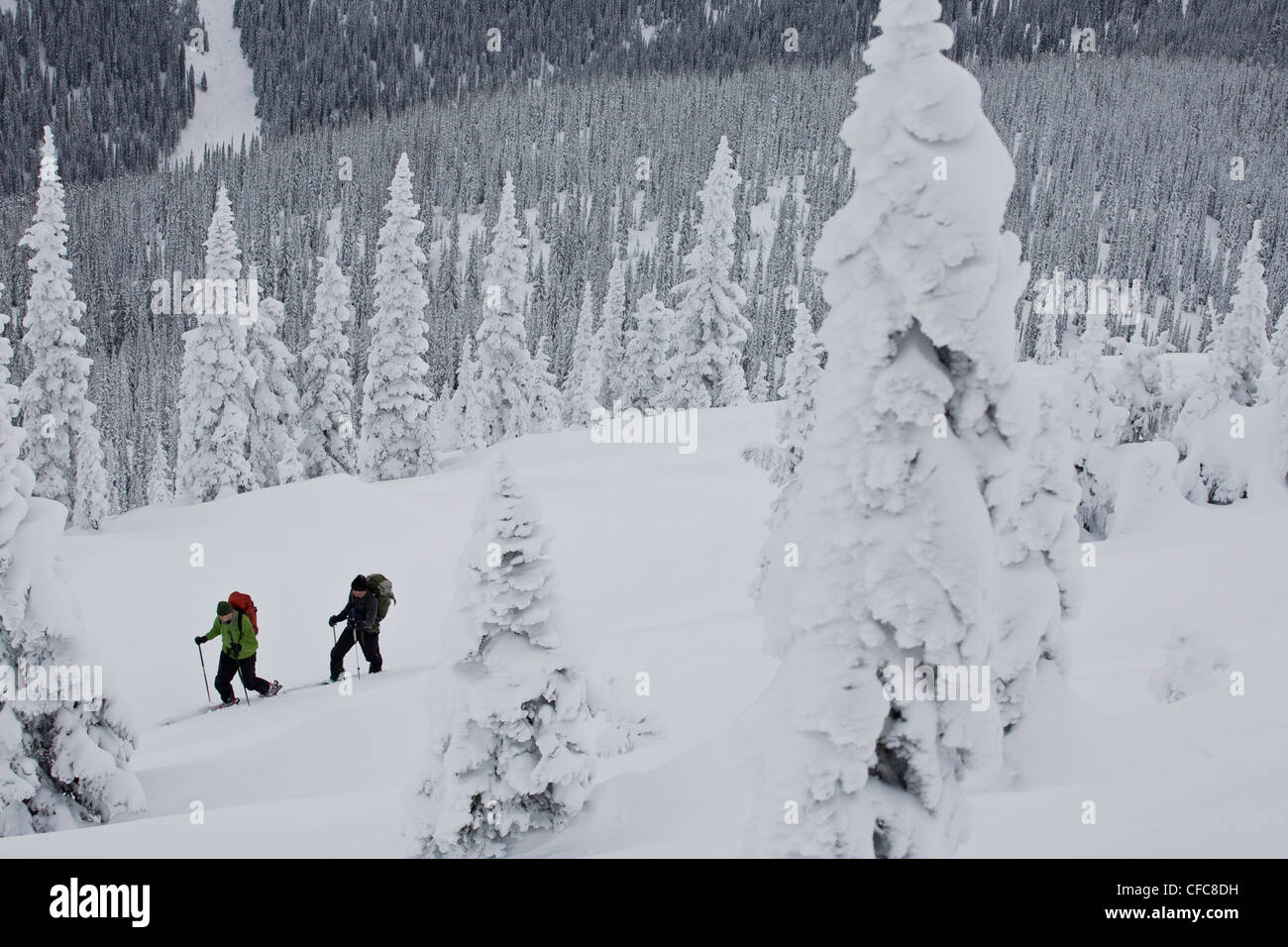 Zwei Männer Skitouren in Rogers Pass, BC Stockfoto