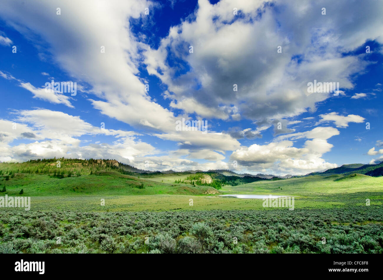White Lake Provincial Grasland, südliche Okanagan Valley, British Columbia, Kanada Stockfoto