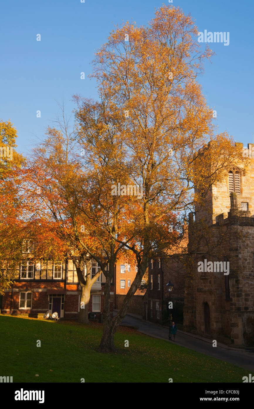Durham City, Dun Kuh Lane, Herbst Farben, County Durham, England, UK Stockfoto