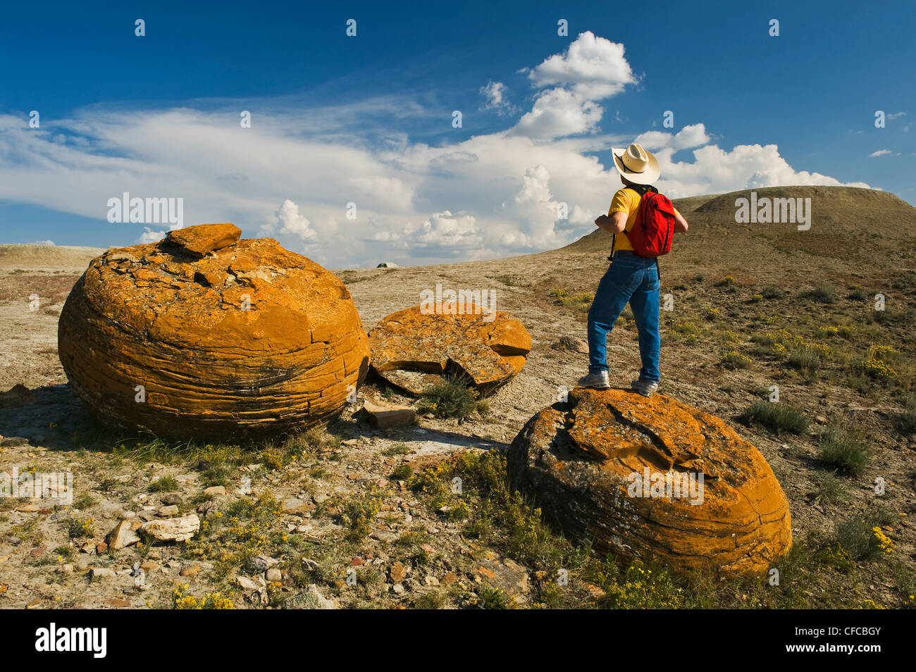 Sandstein-Konkretionen in Red Rock Coulee Naturraum, Alberta, Kanada Stockfoto
