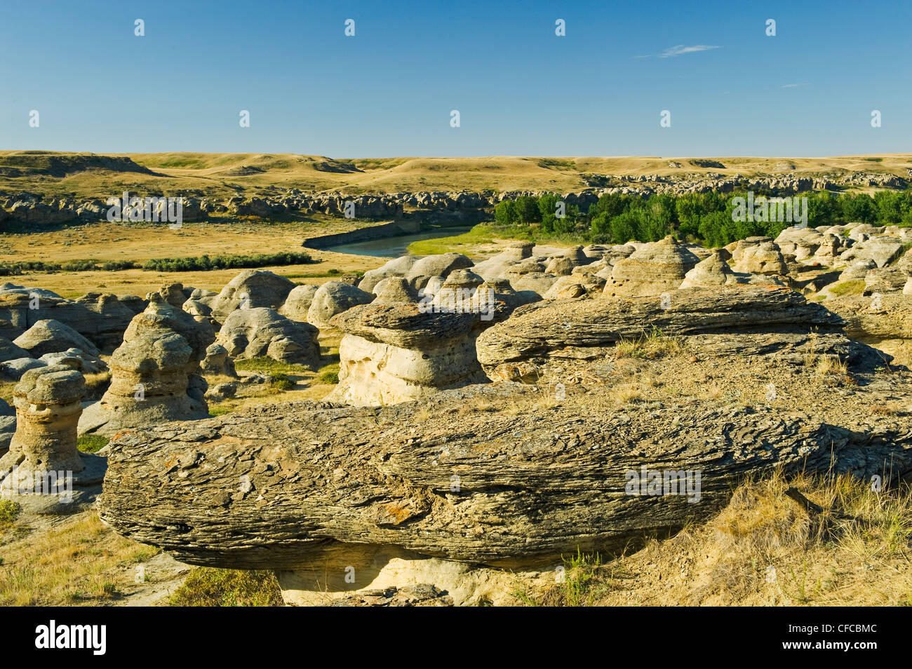 verwitterte Landschaft, Schrift auf Stein Provincial Park, Alberta, Kanada Stockfoto