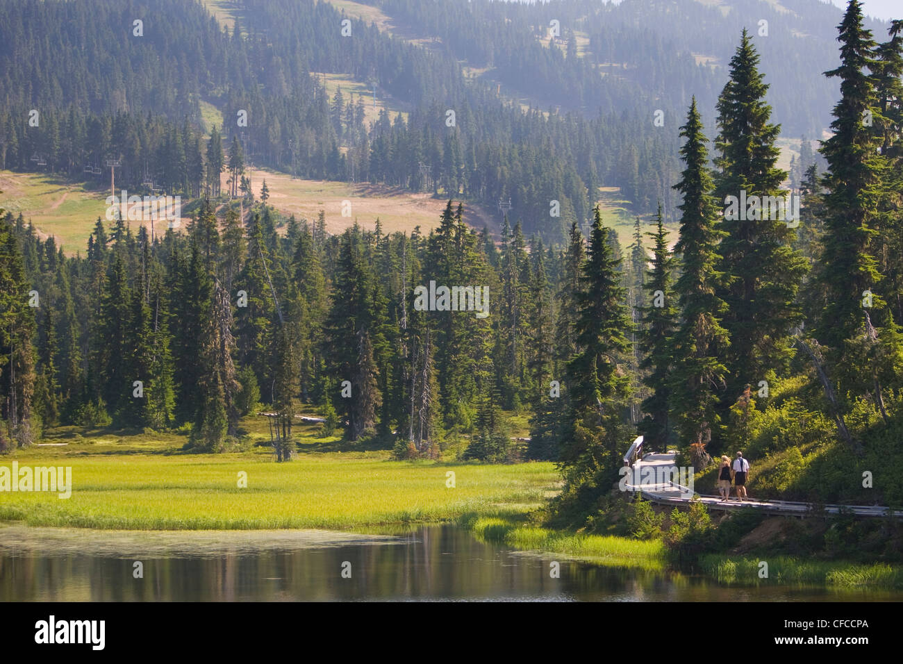 Mount Washington Paradies Wiesen beliebte Wandern Stockfoto