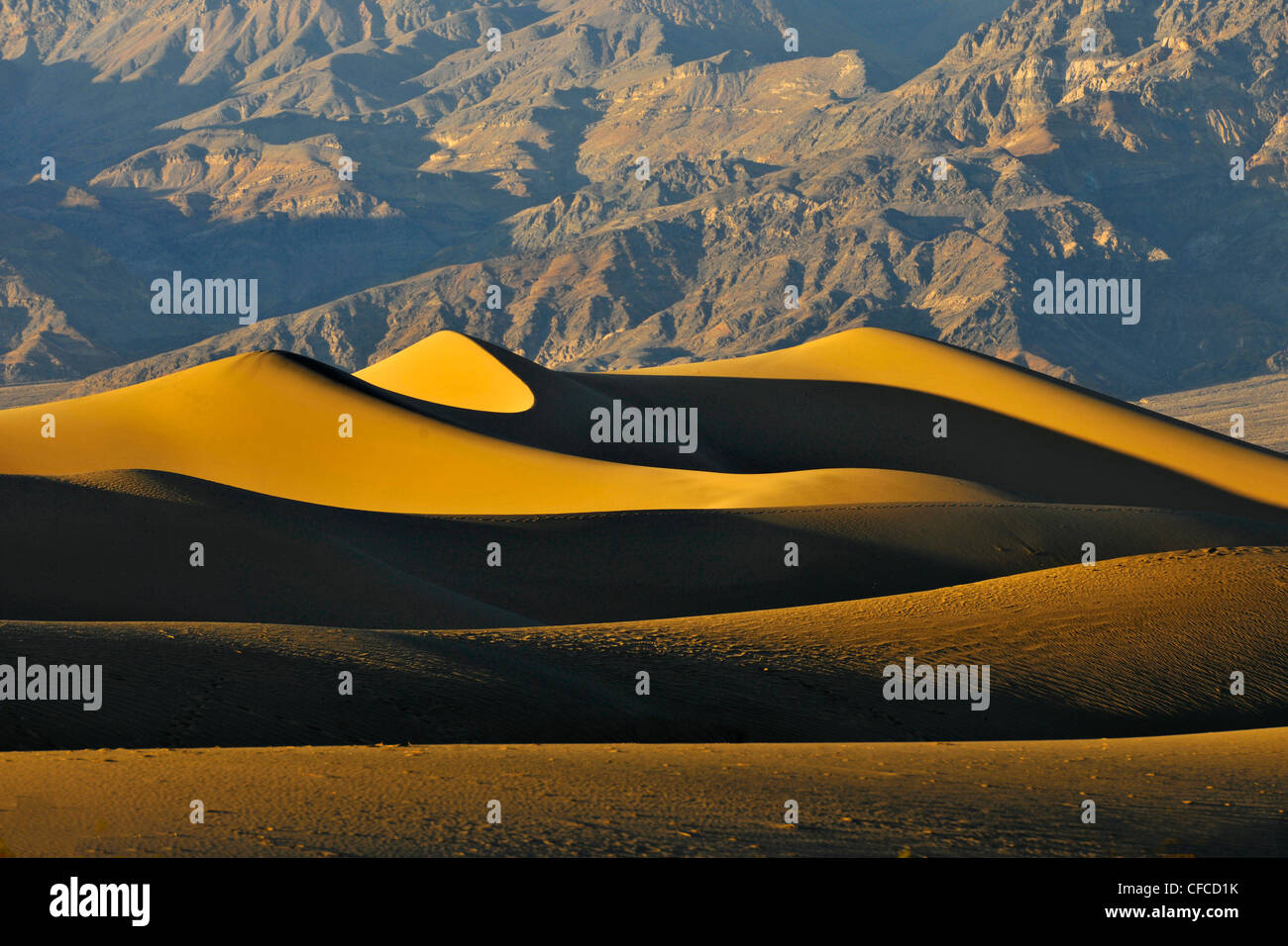 Sanddünen, Stovepipe Wells, Death Valley National Park, der wärmsten und trockensten der Nationalparks in den USA, California, USA Stockfoto