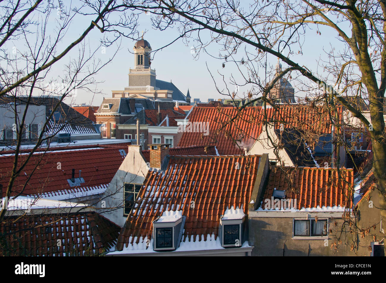 Stadtansicht aus dem Schloß in Leiden, Niederlande Stockfoto