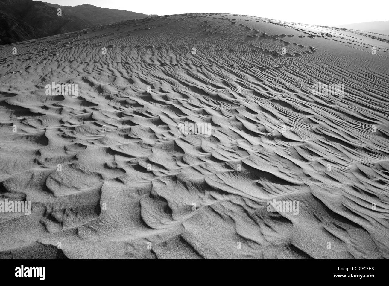 Mesquite flache Sanddünen im Death Valley, Kalifornien, USA Stockfoto