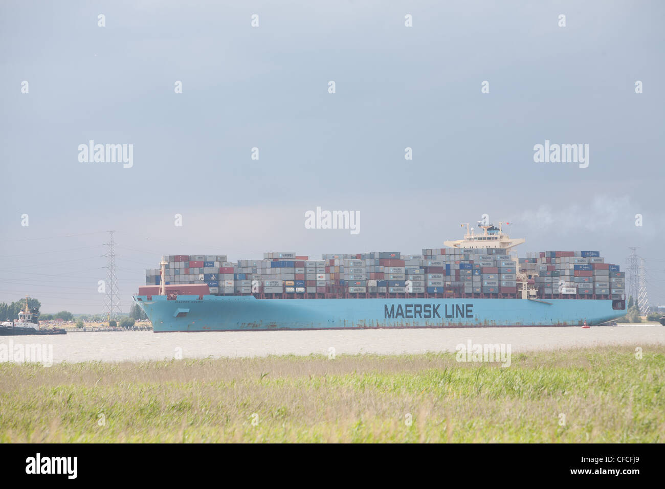 Stock Bild einer Maersk Linie Versand von Massen-Frachter in den Hafen von Antwerpen an der Schelde mit einem Schlepp Boot gezogen Stockfoto