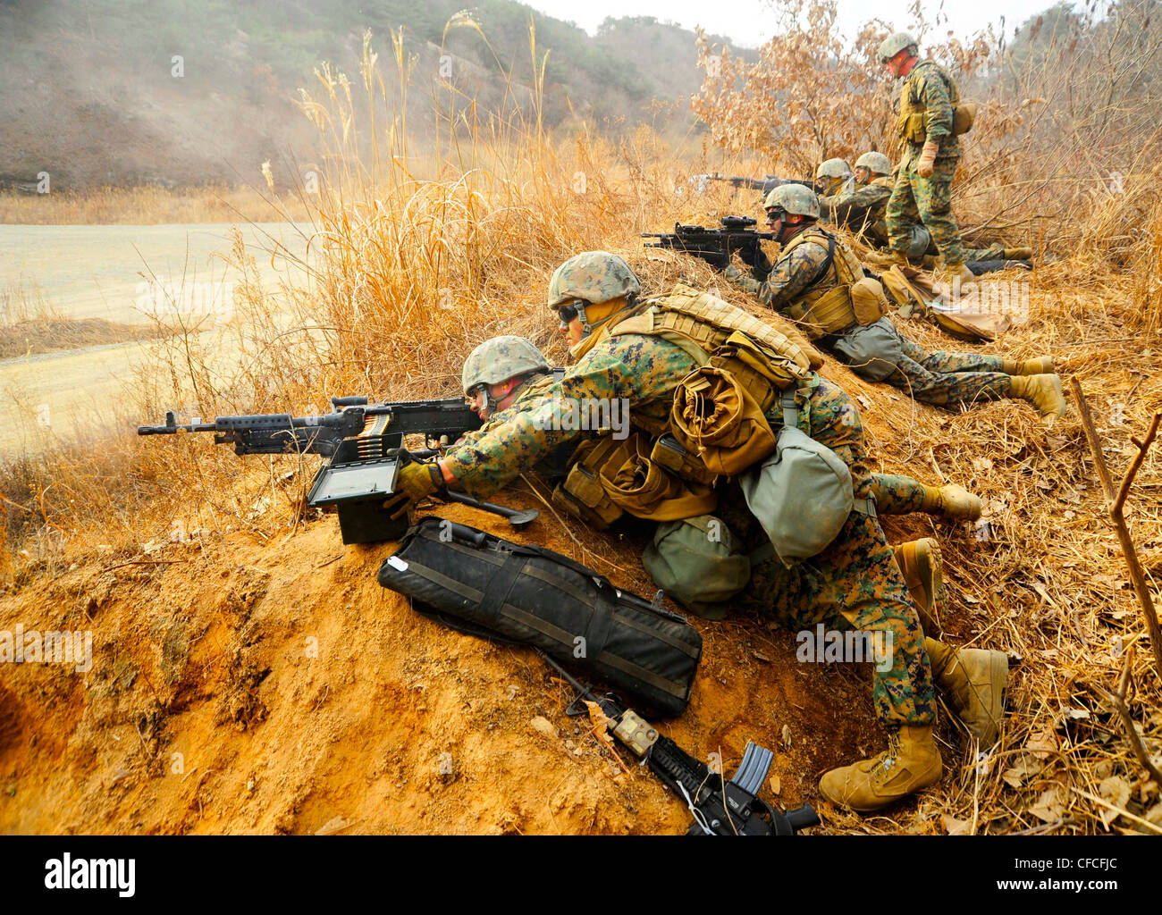 CAMP RODRIGUEZ, Republik Korea (4. März 2012) Marines, die dem 2. Platoon, Company Pacific, Fleet Anti-Terrorism Security Team (FAST) zugeordnet sind, führen eine Live-Feuerübung mit M-16 A4 Gewehren, M4 Sturmgewehren, M240 mittleren Maschinengewehren und dem M39 verbesserten Kampfgewehr durch. Mehr als 50 Marines, die dem 2. Platoon zugewiesen sind, trainieren im Camp Rodriguez Live Fire Complex im Rahmen DER SCHNELLÜBUNG 2012, um die Waffenkunst vom 27. Februar bis 8. März weiter zu erhalten und zu verbessern. Stockfoto