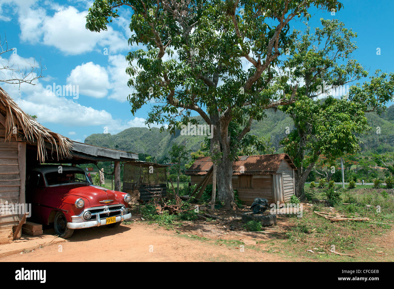 50er Jahre amerikanische Auto Valle de Vinales Vinales Kuba Stockfoto