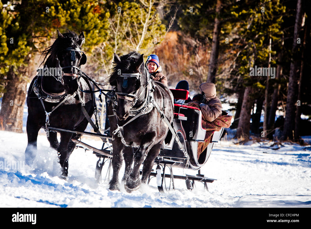 eine Familie sitzt unter Decken im Winter, auf Schnee gefüllte Schlittenfahrt. Während ein Schlitten von zwei schwarzen Pferden gezogen wird. Stockfoto