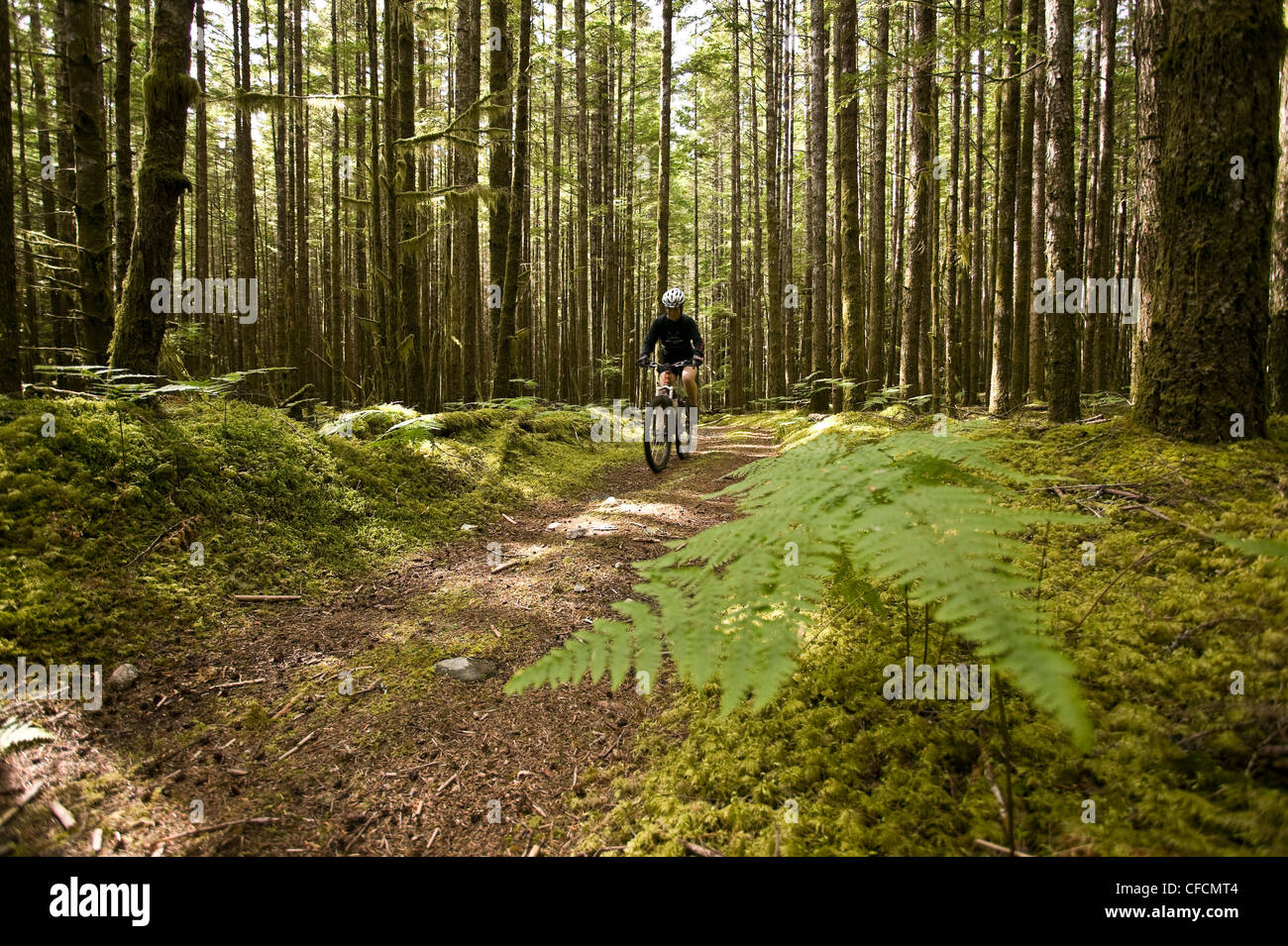 Mountain-Bike-Fahrer bewegt sich entlang der alten Protokollierung Stockfoto