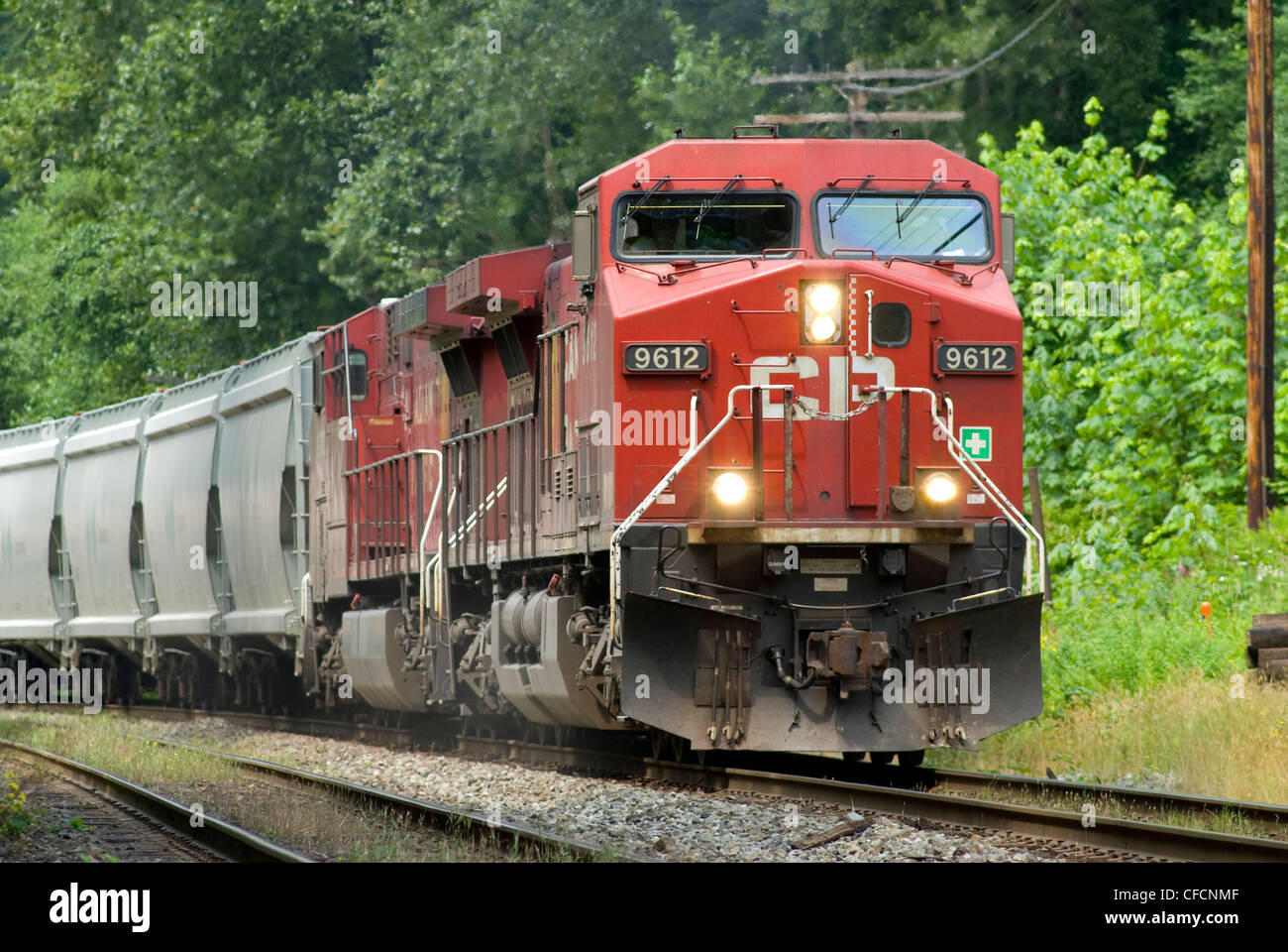 CP-Güterzug mit Kali Autos. Stockfoto