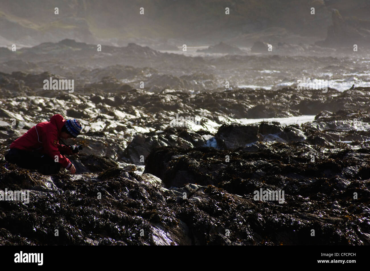 Strand-Kämmen auf Niarbyl Bay Isle Of Man Stockfoto