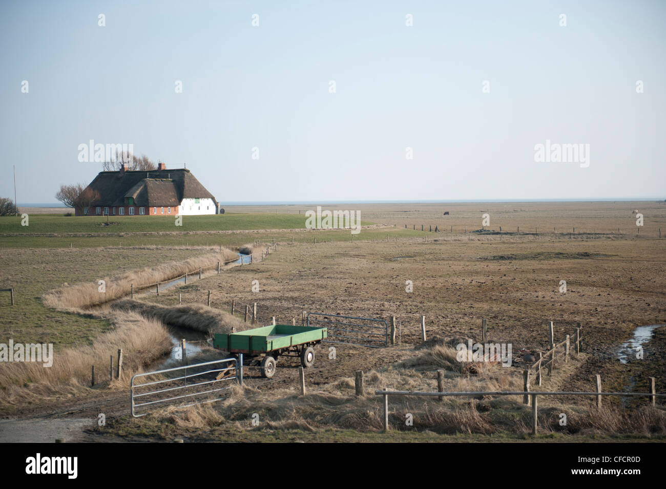 Blick über Wiesen und Weiden zu Kirchwarft auf der Hallig Langeneß, ein Wattenmeer Insel in Nord Nordfriesland sea Stockfoto