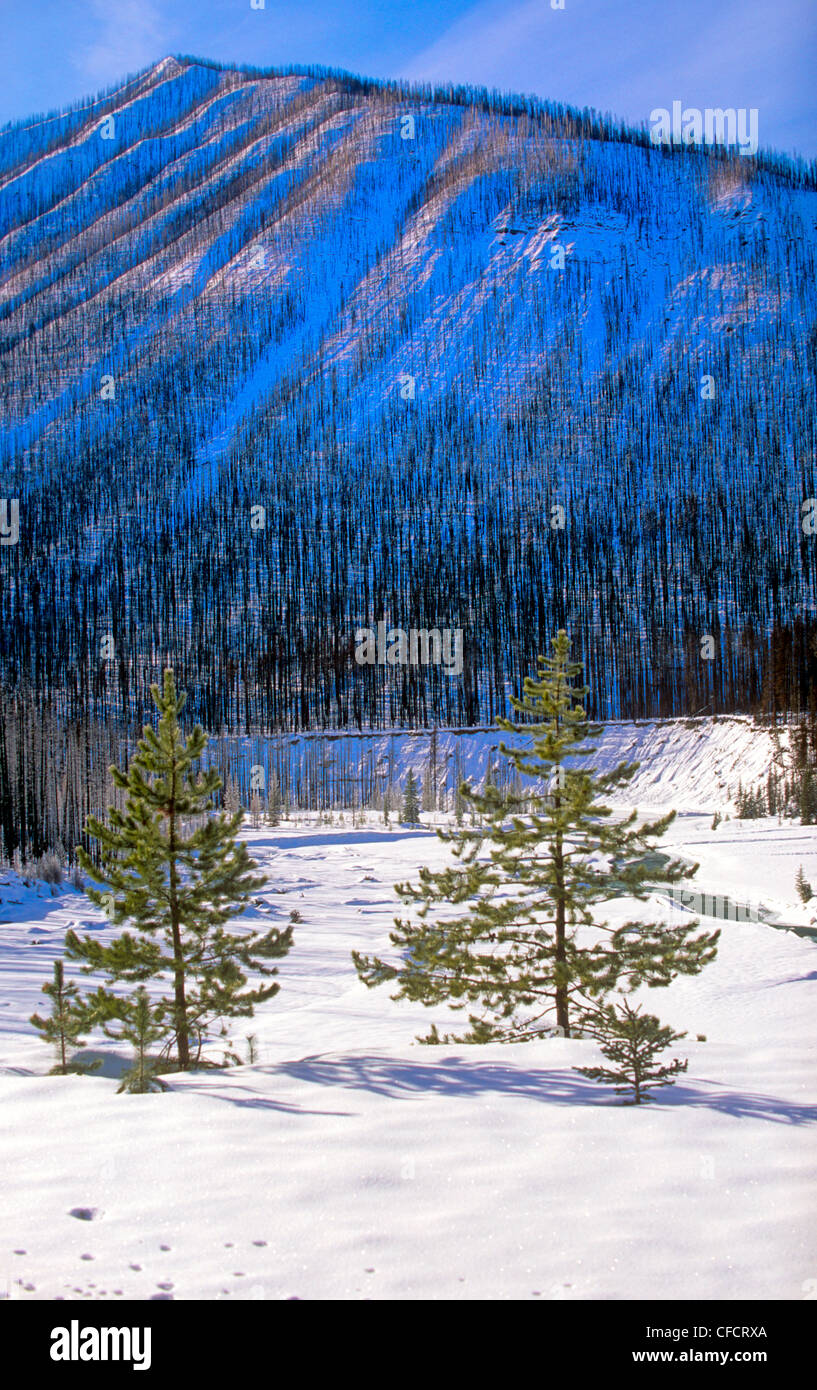 Kootney Nationalpark, British Columbia, Kanada Stockfoto