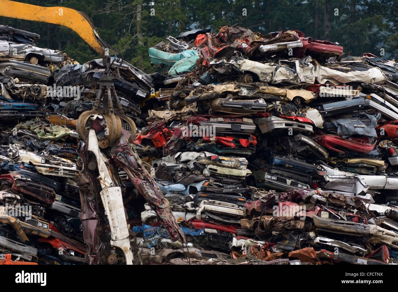 Kran heben abgeflacht Autos aus Stapel von veralteten Autos in recycling-Hof, Vancouver Island, British Columbia, Kanada Stockfoto