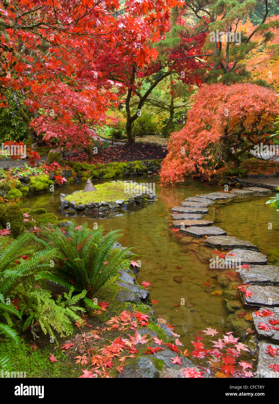 Japanischer Garten im Herbst am Butchart Gardens, Victoria, Vancouver Island, British Columbia, Kanada Stockfoto
