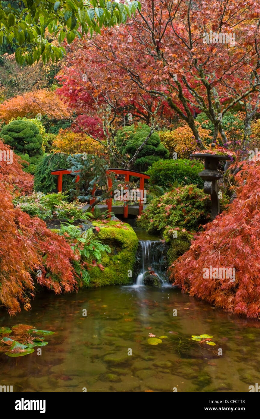 Japanischer Garten im Herbst am Butchart Gardens, Victoria, Vancouver Island, British Columbia, Kanada Stockfoto